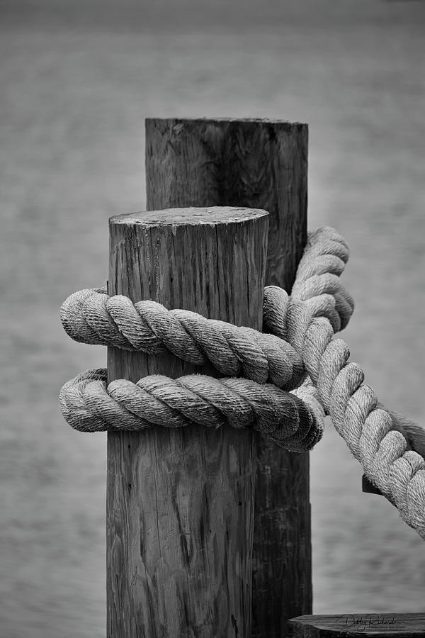 Mooring Line Photograph by Debby Richards