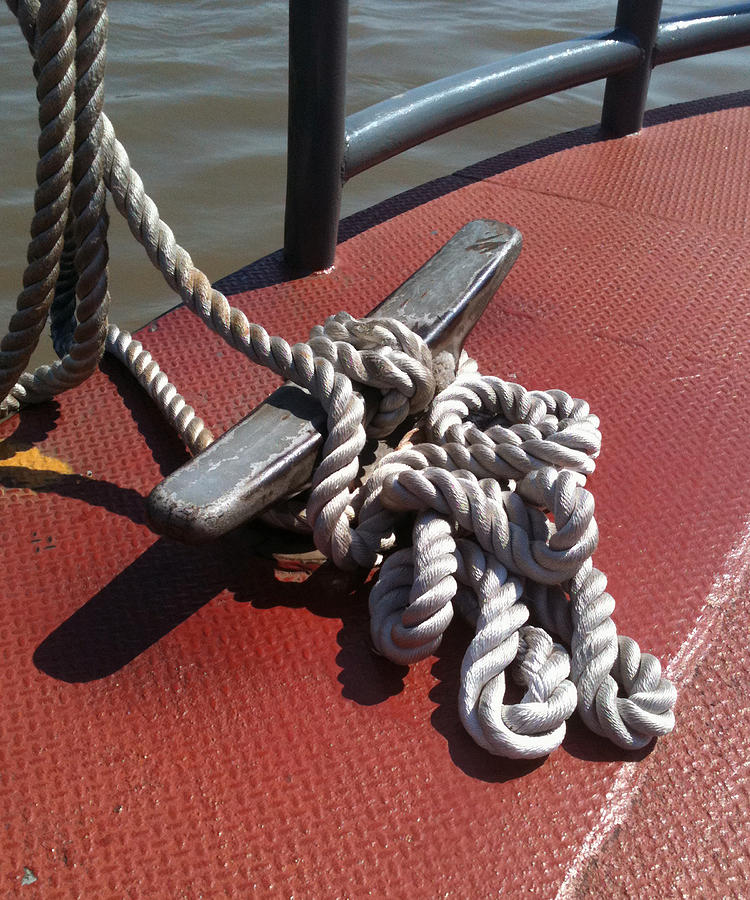 Mooring Rope Photograph by Mamie Greenfield