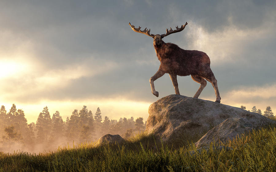 Moose at Dawn Digital Art by Daniel Eskridge