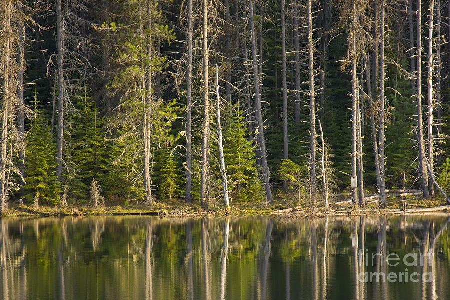 Moose Creek Reservoir Photograph