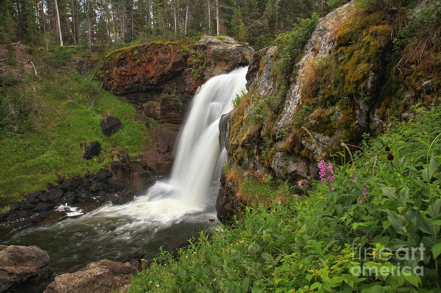 Moose Falls Plunge Photograph by Adam Jewell