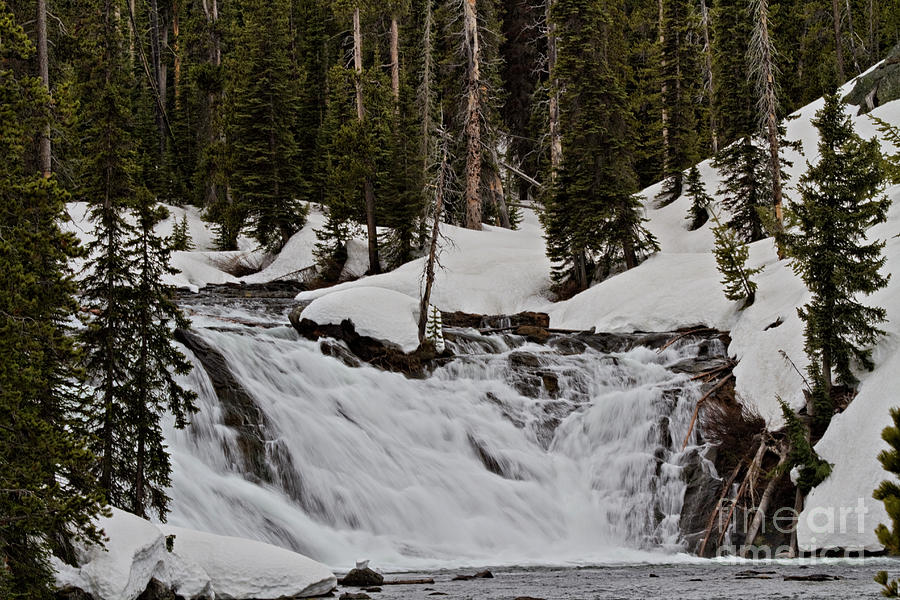 Moose Falls Photograph by Rodney Cammauf
