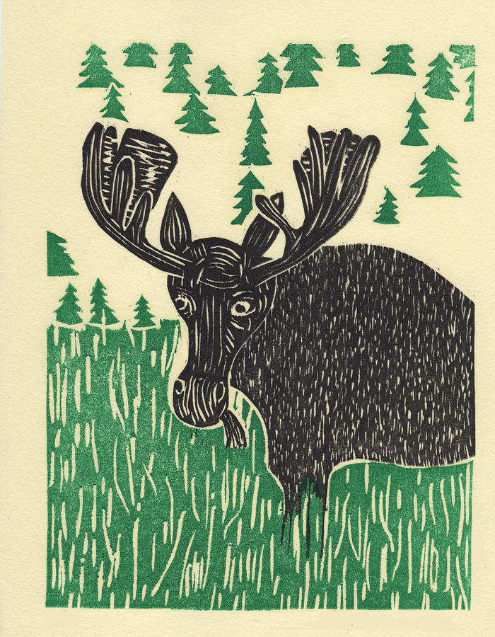 Moose in Summer Relief by Ben Bohnsack