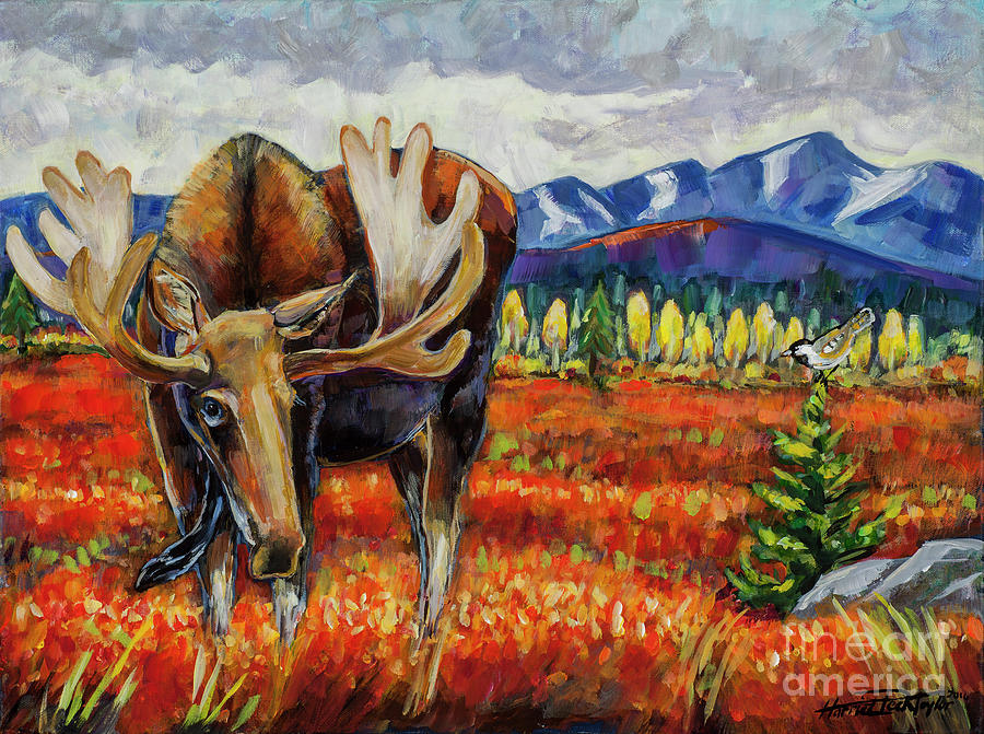 Rocky Mountain National Park Painting - Moose in the Autumn Tundra by Harriet Peck Taylor