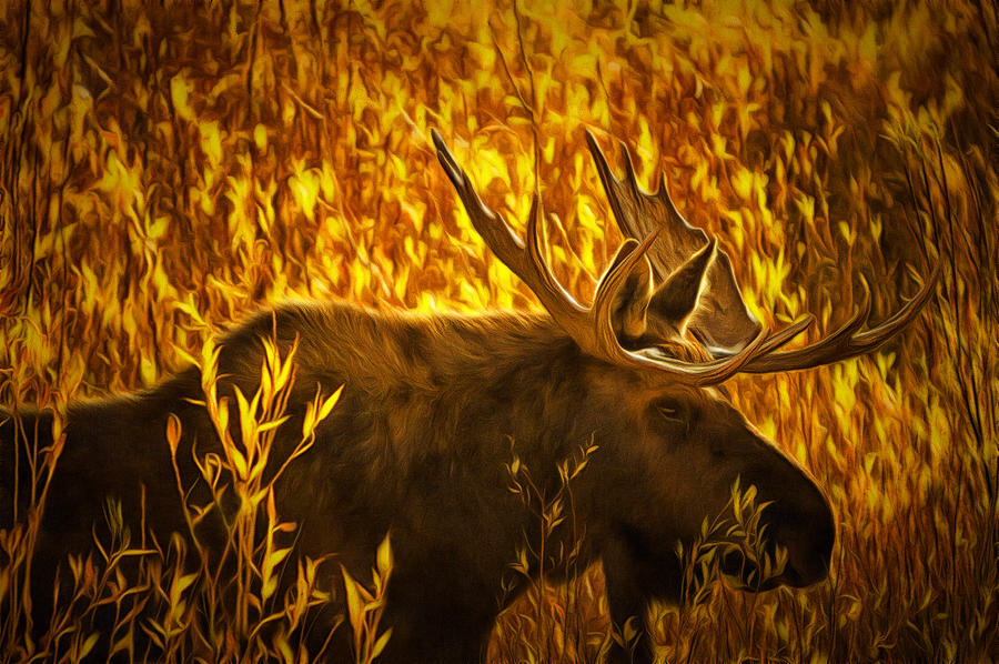 Moose in Willows Digital Art by Mark Kiver