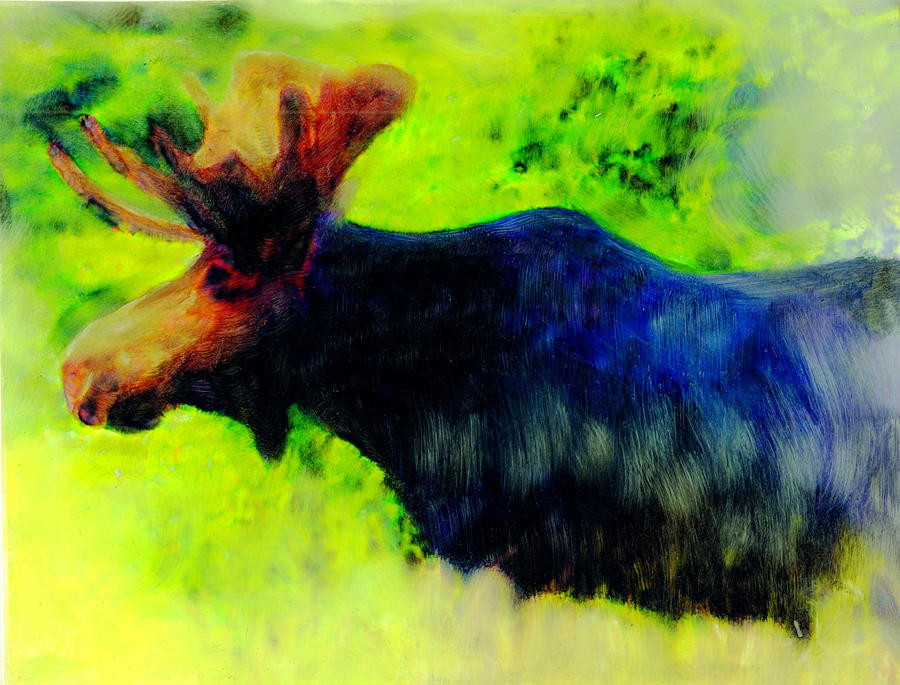 Moose Magic Painting by FeatherStone Studio Julie A Miller