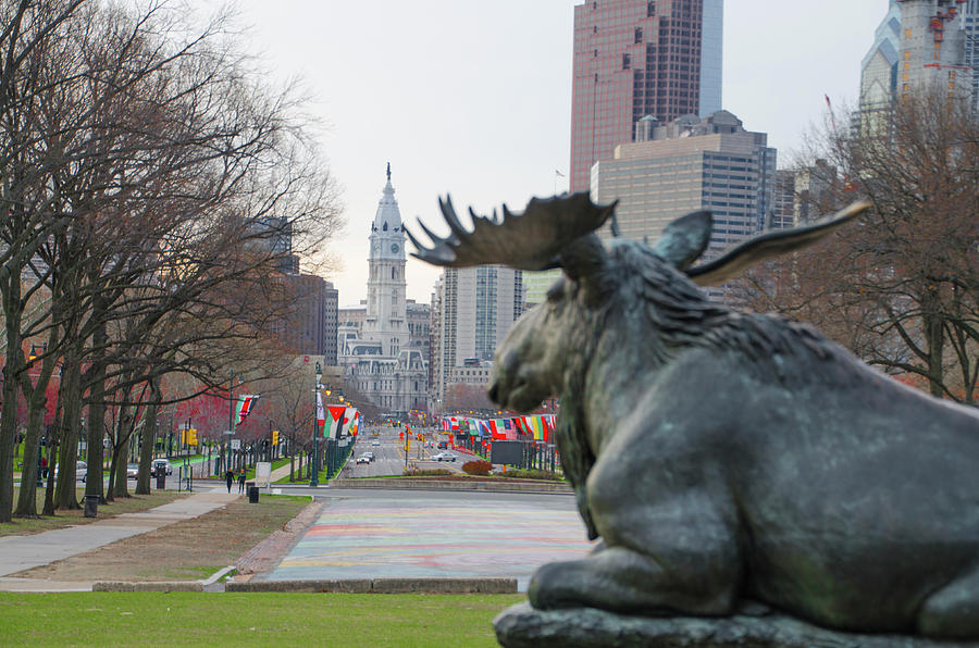 Moose on the Parkway - Philadelphia Photograph by Bill Cannon