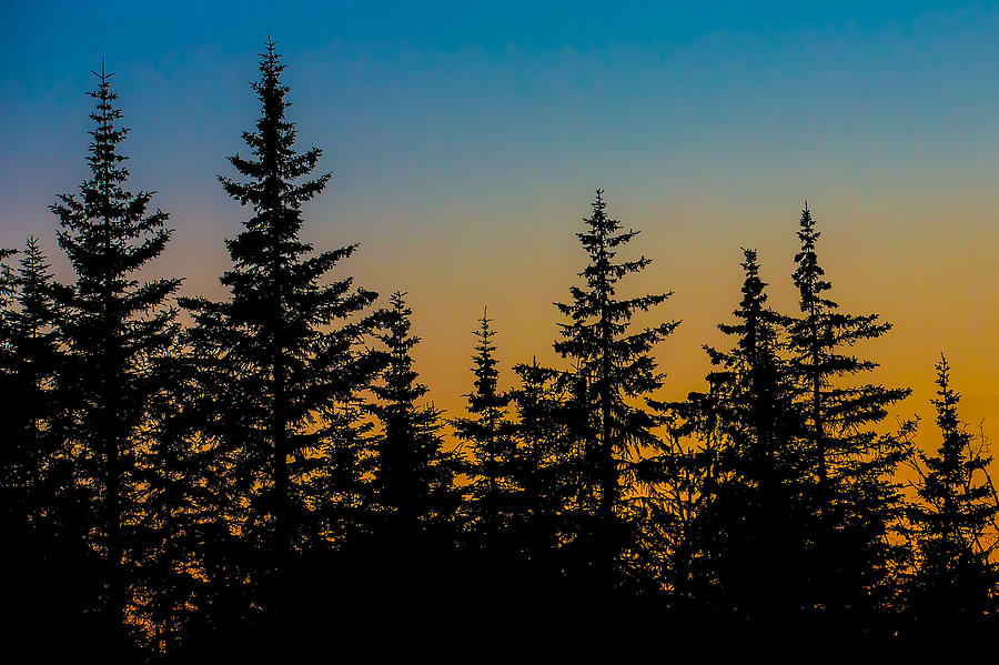 Moose Pass Evening Photograph by Sara Hudock