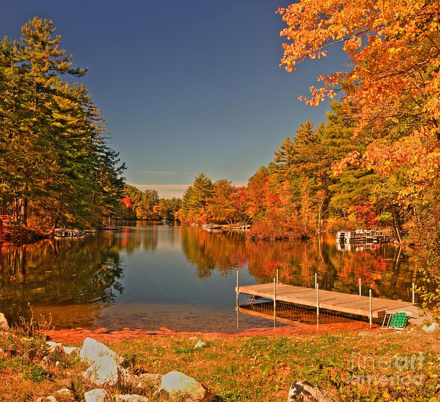 Moose Pond Photograph by David Bishop
