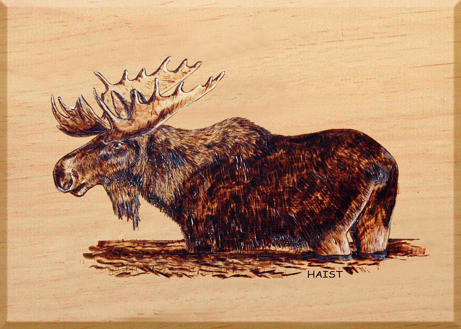 Moose Pyrography by Ron Haist
