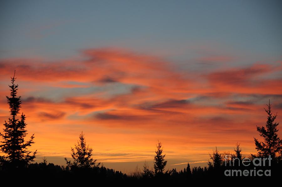 Moose Valley Sunrise Photograph by Sandra Updyke