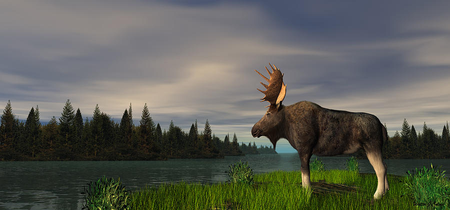 Moose Digital Art by Walter Colvin