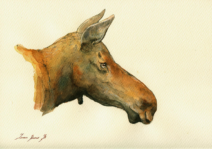 Moose Painting - Moose watercolor painting. by Juan  Bosco