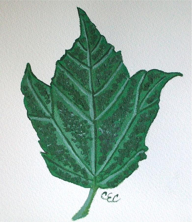 Moose Wood Leaf Painting by Carolyn Cable