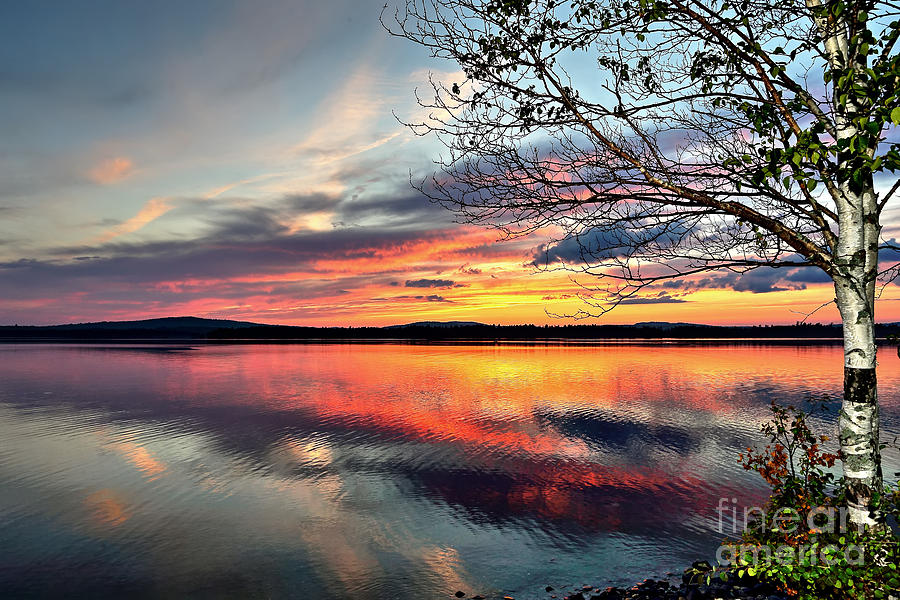 Nature Photograph - Moosehead Lake by Rick Mann