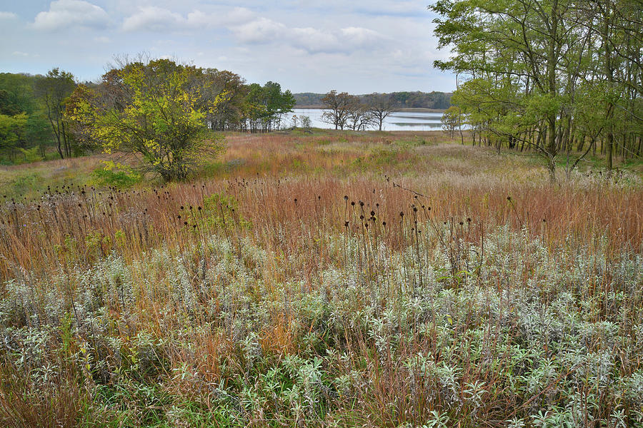 Moraine Hills Prairie Photograph by Ray Mathis