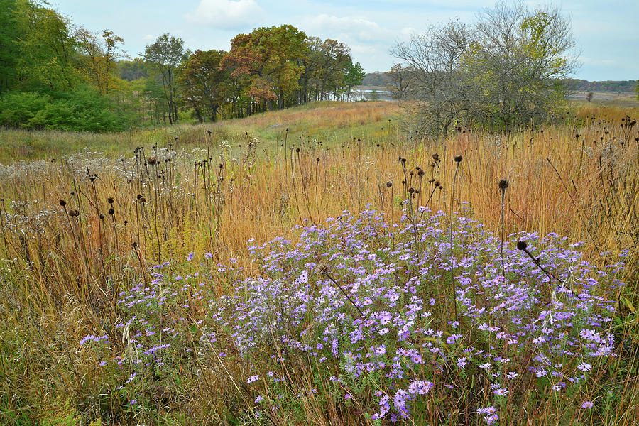 Moraine Hills State Park Photograph by Ray Mathis