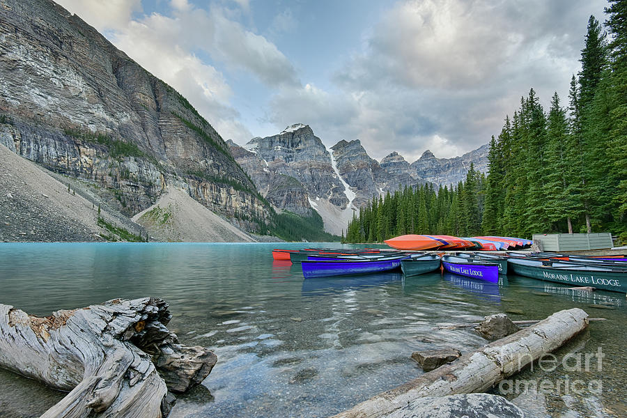 Moraine logs and canoes Photograph by Paul Quinn