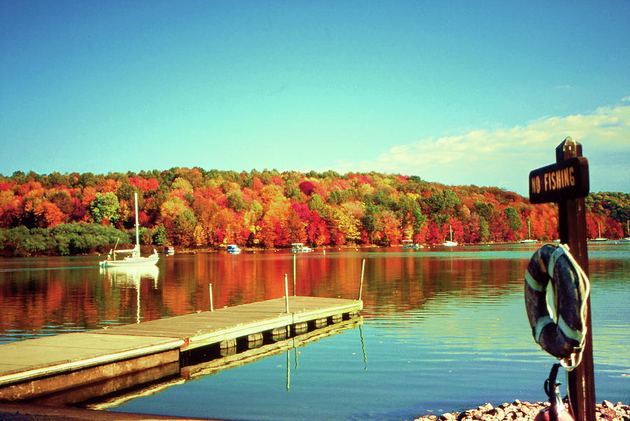 Moraine State Park Photograph by Tammy McGogney - Fine Art America