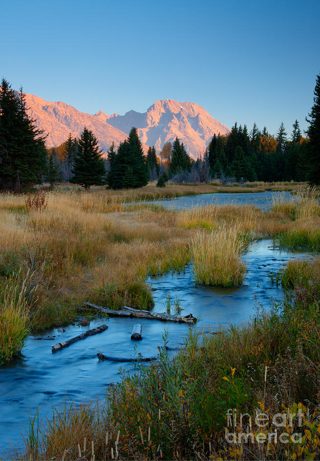 Mountain Photograph - Moran Morning by Idaho Scenic Images Linda Lantzy