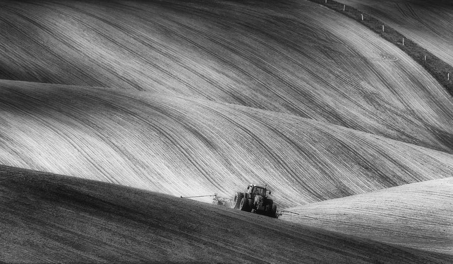 Moravian Seeding Photograph by Piotr Krol (bax)