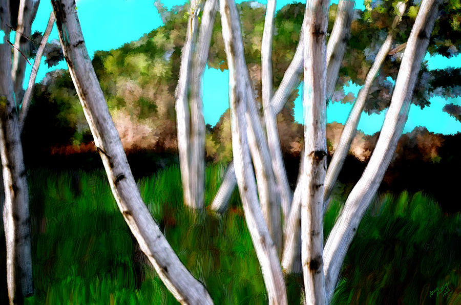 More Birches Painting by Bruce Nutting