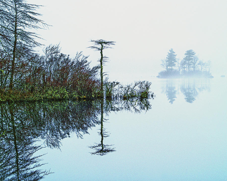 Foggy Reflections At Bad Luck Pond Photograph by Garrett Sheehan