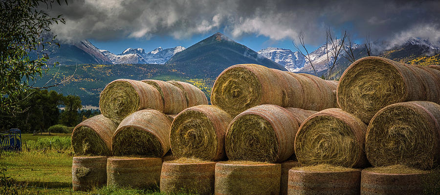 More Hay Photograph by Gary Benson
