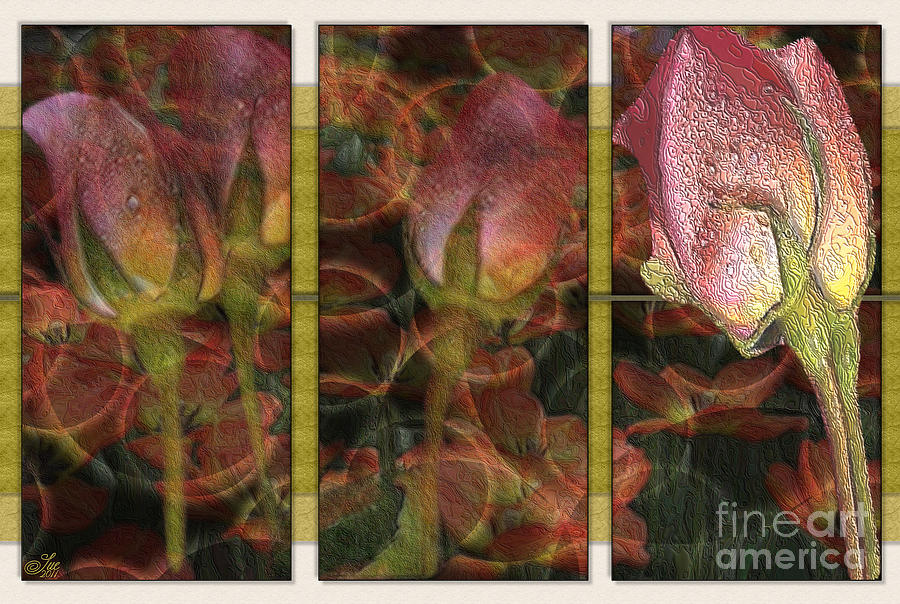 Flower Digital Art - More Than One by Sue Gardiner