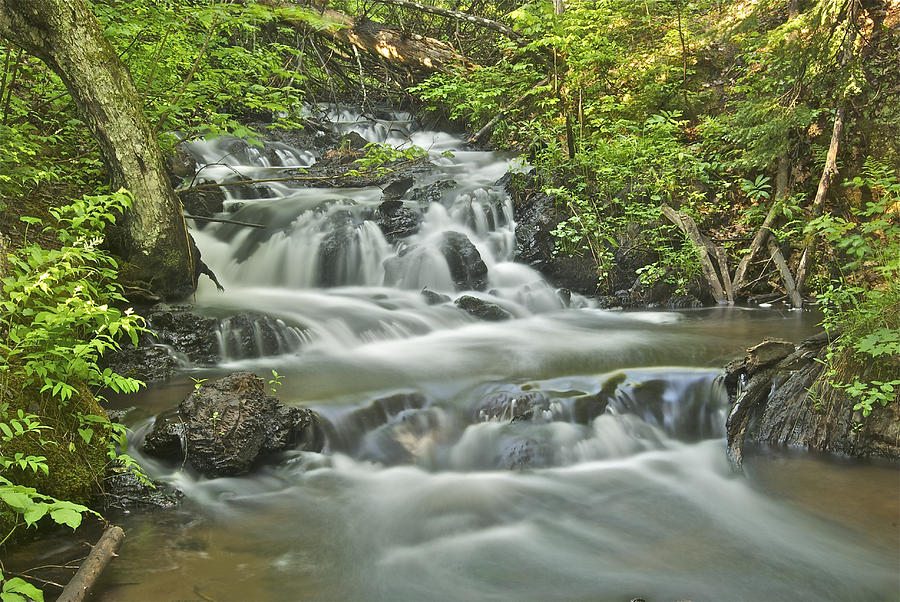 Waterfall Photograph - Morgan Falls 4584 by Michael Peychich