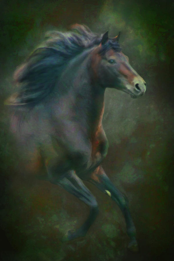 Morgan Stallion Digital Art by Posey Clements