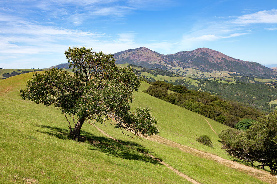 Morgan Territory and Mount Diablo Photograph by Rick Pisio