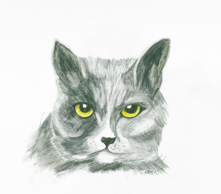 Cat Drawing - Mori by Katrin J Oskarsdottir