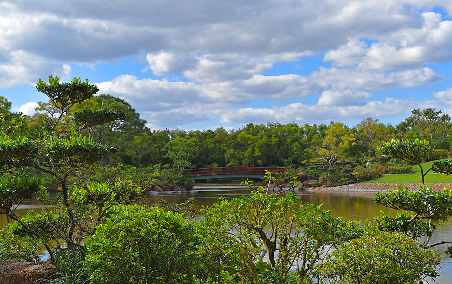 Morikami Gardens View Photograph