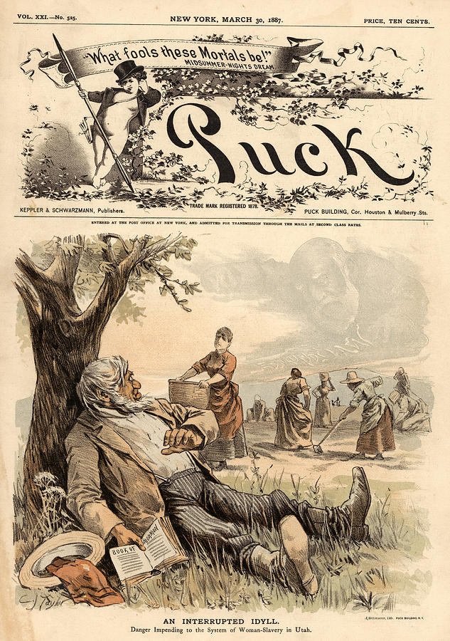1887 Photograph - Mormon Cartoon, 1887 by Granger