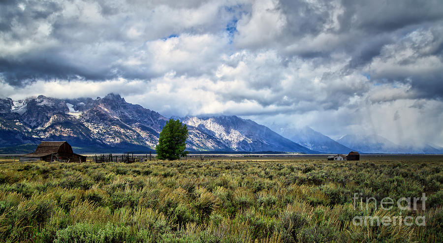 Mormon Row and the Grand Tetons Photograph by Bruce Block