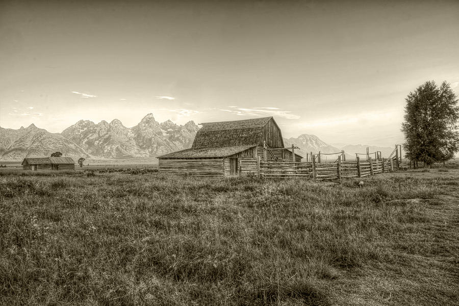Mormon Row BW Photograph by Mark Andrews