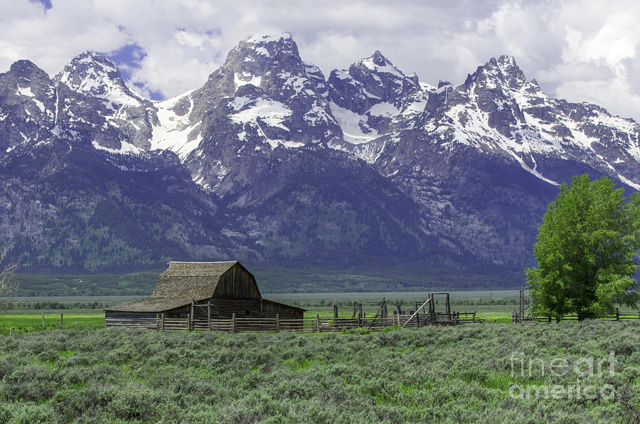 Grand Tetons Photograph by Louise Magno