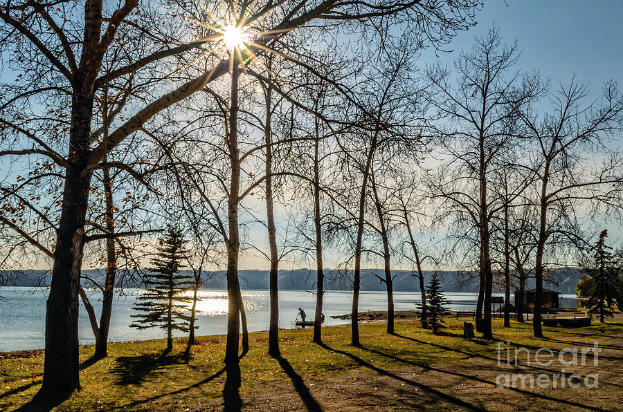 Spring Photograph - Morning on the lake by Viktor Birkus