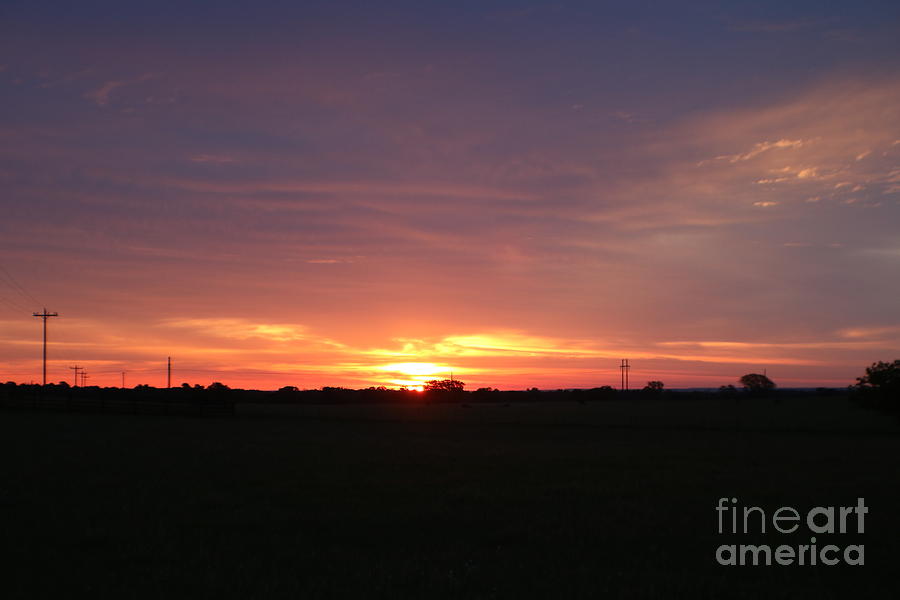 Morning A Glow Photograph by Michael MacGregor