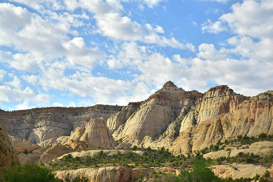 Capitol Reef National Park Photograph - Morning above Scenic Byway 24 by Ray Mathis