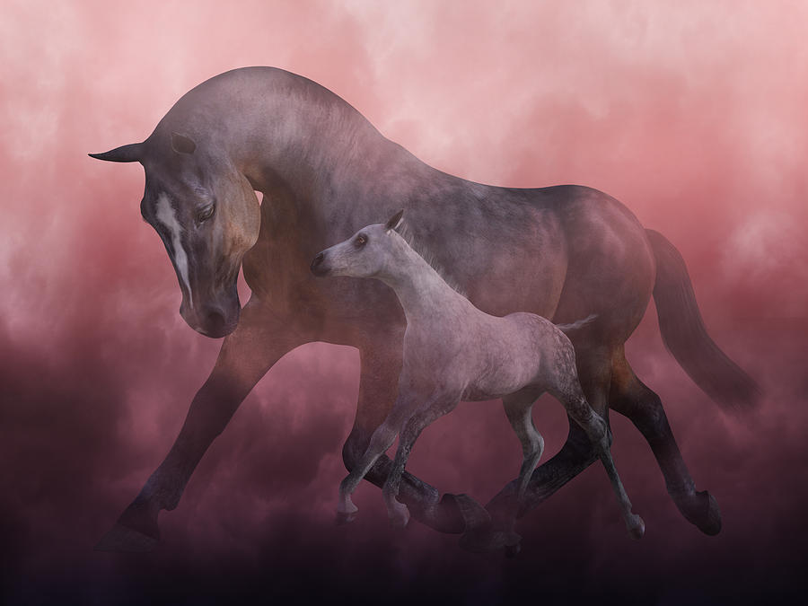 Horse Digital Art - Morning and Dawn by Betsy Knapp