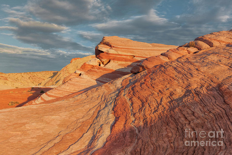 Morning Arrives - Valley of Fire, Nevada Photograph by Sandra Bronstein