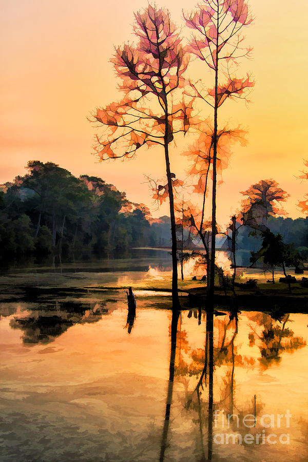 Morning At Angkor Wat Photograph by Rick Bragan