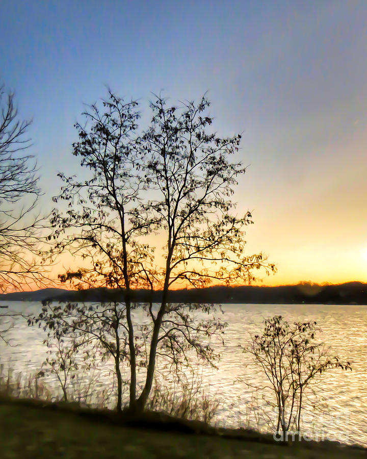 Morning At Claytor Lake State Park Photograph by Kerri Farley