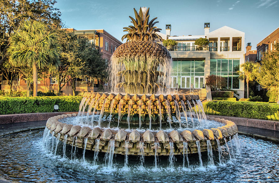 Morning at Pineapple Fountain Photograph by Lynne Jenkins
