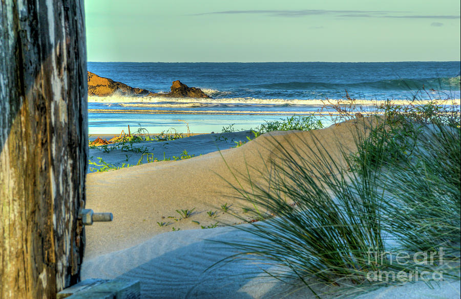Beach Photograph - Morning at Pudding Creek by Paul Gillham
