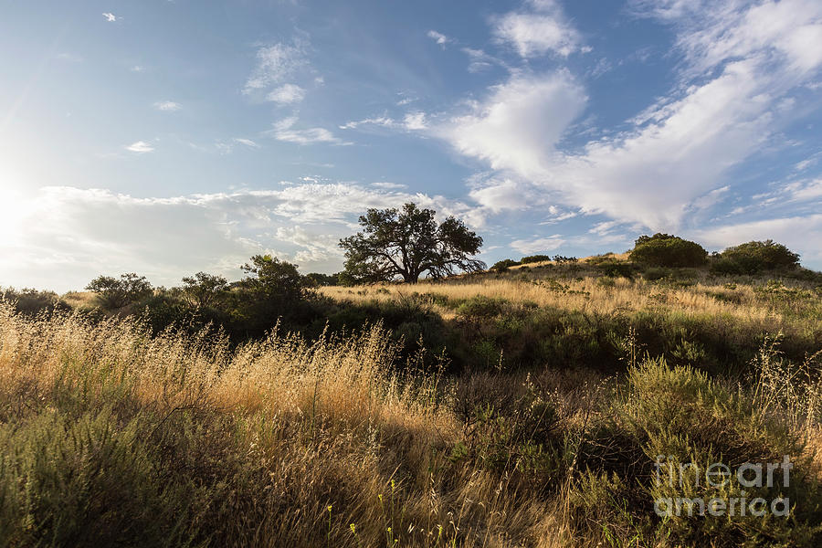 Los Angeles Photograph - Morning at Santa Susana Pass State Historic Park in Los Angeles, by Trekkerimages Photography