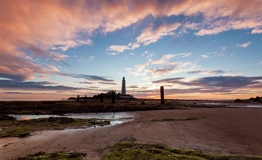 Lighthouse Photograph - Morning at St Marys Lighthouse. by John Cox