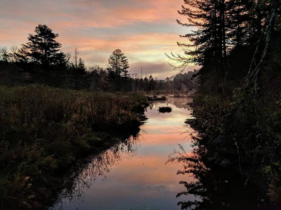 Sunrise Photograph - Morning At The Beaver Pond...
#sunrise by Craig Szymanski